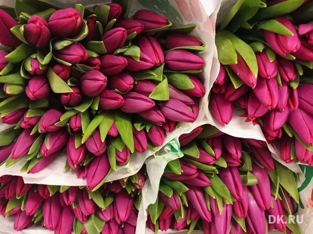 197 тонн цветов ввезли сибирские предприниматели из-за границы