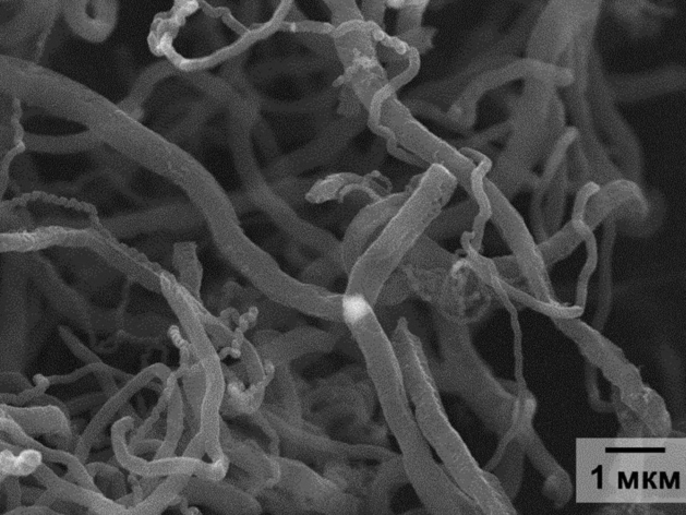 Сканирующая электронная микроскопия углеродных нановолокон