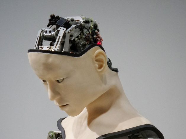Сибиряки назвали профессии, в которых их может заменить искусственный интеллект