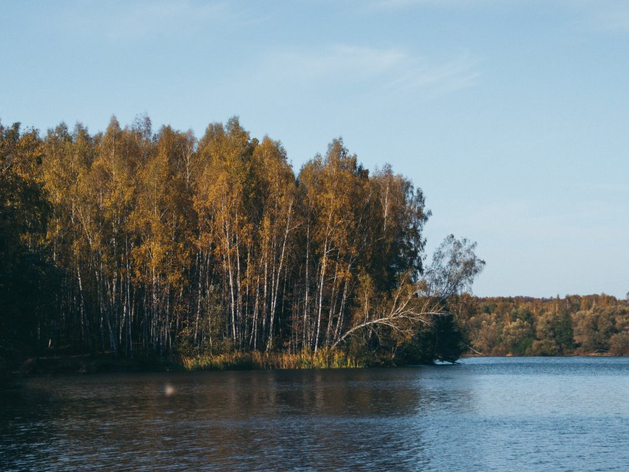 Теплая неделя в Новосибирске сменится промозглой 