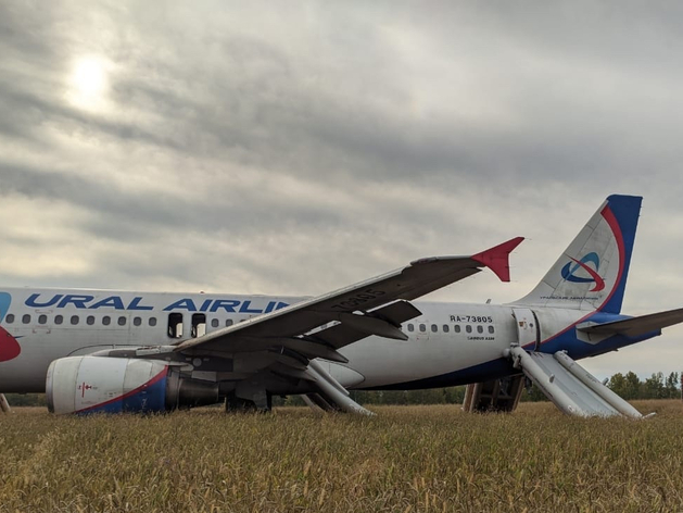«Уральские авиалинии» возместят аграриям ущерб от аварийной посадки под Новосибирском