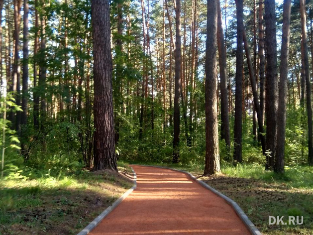 Перенесли срок сдачи новосибирского парка из-за ошибок в документации 