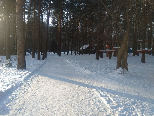 Ясная и безветренная погода ждет новосибирцев на выходных