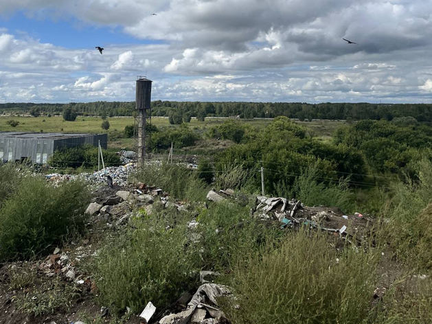 Уголовное дело из-за пожара на Левобережном полигоне ушло в суд