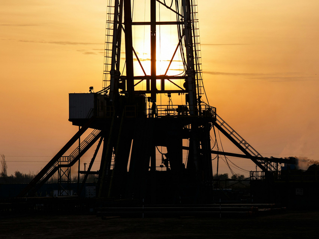 Новосибирский вуз получит 210 миллионов на создание инструмента для нефтедобычи Новосибирский вуз получит 210 миллионов на создание инструмента для нефтедобычи