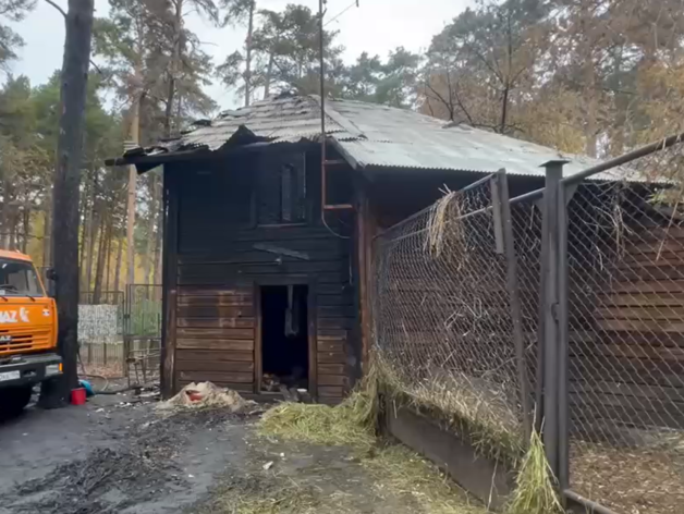 Скрин с видео Прокуратуры Новосибирской области