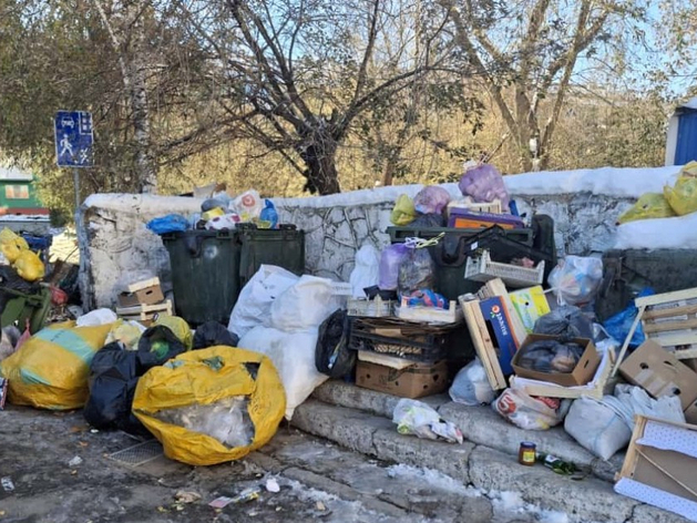 В «САХ» назвали новосибирские компании, которые не платят за вывоз мусора В «САХ» назвали новосибирские компании, которые не платят за вывоз мусора