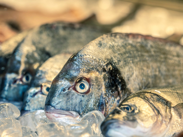 Вырос экспорт новосибирской рыбной продукции в Казахстан и Китай Вырос экспорт новосибирской рыбной продукции в Казахстан и Китай