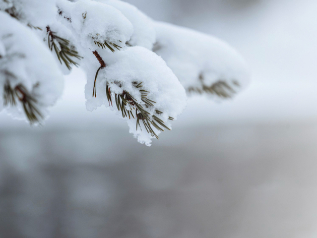 Усилится ветер и пойдет снег в Новосибирске на выходных