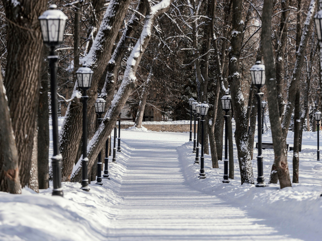 Пасмурно и снегопады в Новосибирске в течение рабочей недели