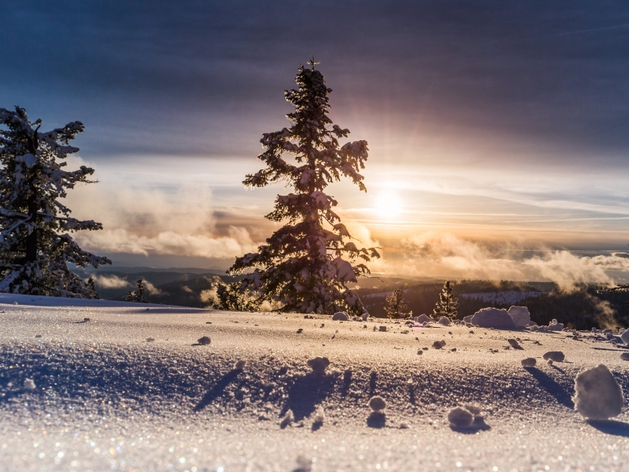 Погодные «качели» ждут новосибирцев на новой рабочей неделе Погодные «качели» ждут новосибирцев на новой рабочей неделе
