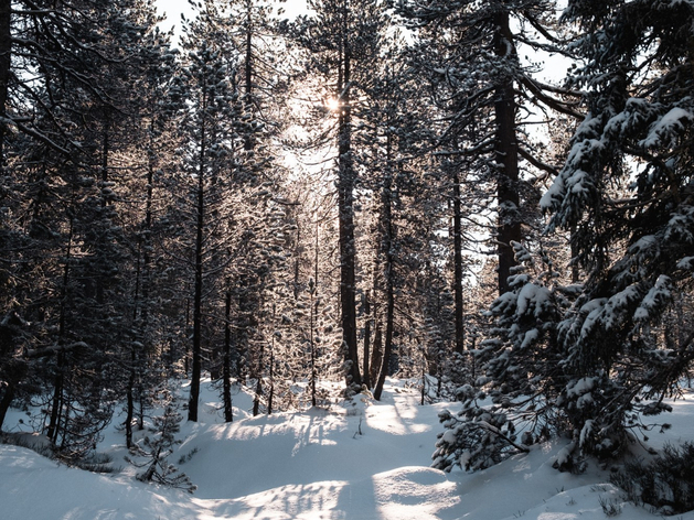 Похолодание и снегопады в Новосибирске на выходных Похолодание и снегопады в Новосибирске на выходных
