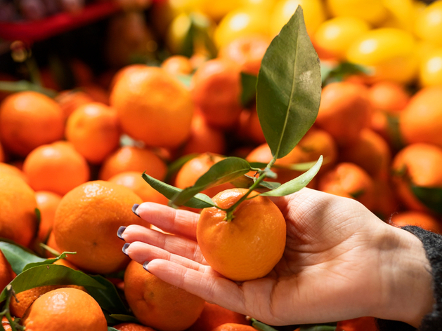 Новосибирская область вошла в топ регионов с самым высоким импортом мандаринов
