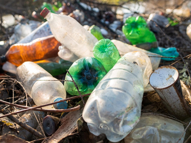 Рекультивацию мусорных полигонов в Новосибирске оценили в два миллиарда Рекультивацию мусорных полигонов в Новосибирске оценили в два миллиарда