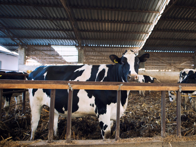 Власти: Отсутствие новых очагов инфекции подтверждает эффективность мер Власти: Отсутствие новых очагов инфекции подтверждает эффективность мер