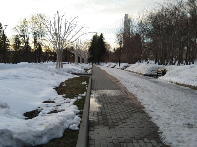 Облачная, но теплая весенняя погода ожидается в Новосибирске на выходных Облачная, но теплая весенняя погода ожидается в Новосибирске на выходных