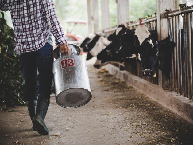 Почти 800 миллионов выделят на поддержку владельцев изъятого скота в регионе Почти 800 миллионов выделят на поддержку владельцев изъятого скота в регионе